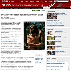 DNA reveals Neanderthal extinction clues