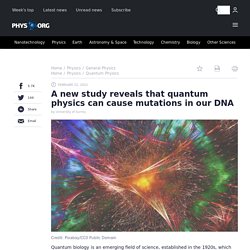 A new study reveals that quantum physics can cause mutations in our DNA