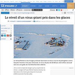 Le réveil d'un virus géant pris dans les glaces