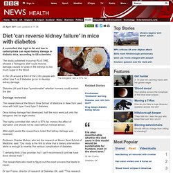 Diet 'can reverse kidney failure' in mice with diabetes