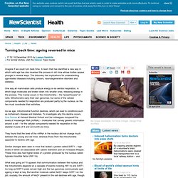 Turning back time: ageing reversed in mice - health - 19 December 2013