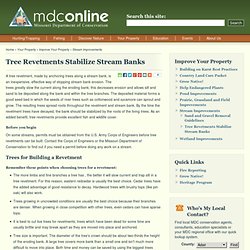Tree Revetments For Streambank Stabilization