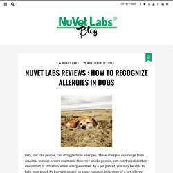NuVet Reviews : Recognizing Allergies in Dogs