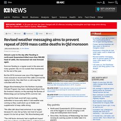 Revised weather messaging aims to prevent repeat of 2019 mass cattle deaths in Qld monsoon