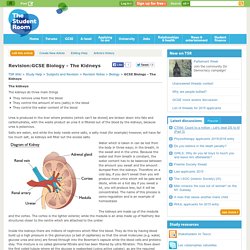 Revision:GCSE Biology - The Kidneys