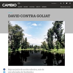 Revista Cambio - Revista Cambio » David contra Goliat