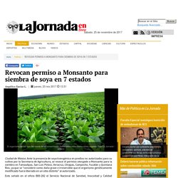 Revocan permiso a Monsanto para siembra de soya en 7 estados
