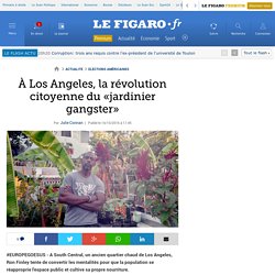 À Los Angeles, la révolution citoyenne du «jardinier gangster»
