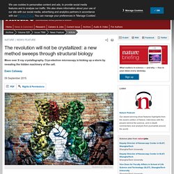 The revolution will not be crystallized: a new method sweeps through structural biology : Nature News & Comment