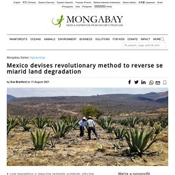 11 août 2021 Mexico devises revolutionary method to reverse semiarid land degradation