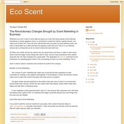 Eco Scent: The Revolutionary Changes Brought by Scent Marketing in Business