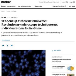 ‘It opens up a whole new universe’: Revolutionary microscopy technique sees individual atoms for first time