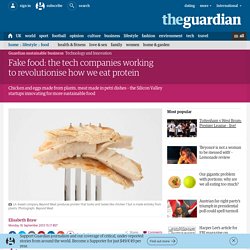 Fake food: the tech companies working to revolutionise how we eat protein