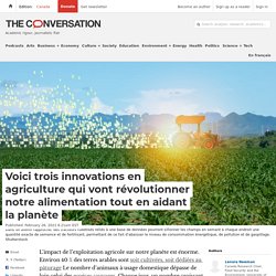 Voici trois innovations en agriculture qui vont révolutionner notre alimentation tout en aidant la planète