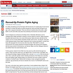 Revved-Up Protein Fights Aging