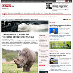 L'Asie menace la survie des rhinocéros et éléphants d'Afrique - Environnement