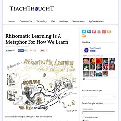 Rhizomatic Learning Is A Metaphor For How We Learn