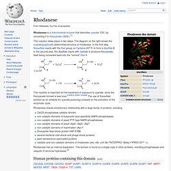 Rhodanese