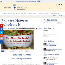 Blog - Rhubarb Harvest: Dehydrate It!