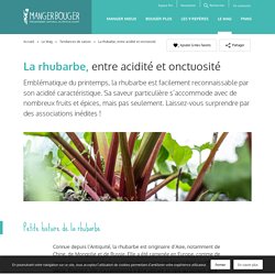 La rhubarbe, entre acidité et onctuosité