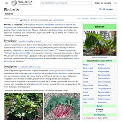 Rhubarbe
