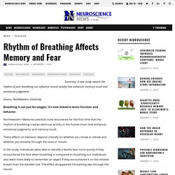 Rhythm of Breathing Affects Memory and Fear – Neuroscience News