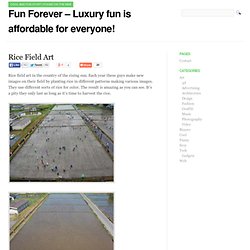 Fun Forever - Luxury fun is affordable for everyone! » Rice Field Art