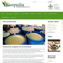 Rice productivity - Ricepedia