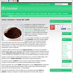 Come riciclare i fondi del caffè » soloecologia.it