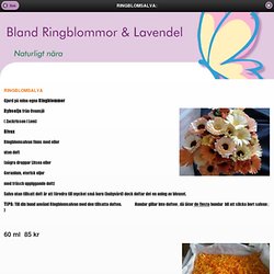 Bland Ringblommor & Lavendel - RINGBLOMSALVA: