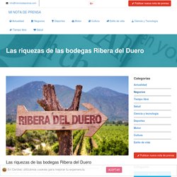 Las riquezas de las bodegas Ribera del Duero