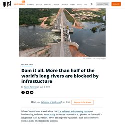 Dam it all: More than half of the world’s long rivers are blocked by infrastucture