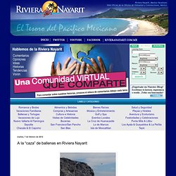Riviera Nayarit Blog Español: A la “caza” de ballenas en Riviera Nayarit