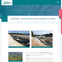 La rivière – un corridor pour la faune et la flore – L’EPTB Gardons