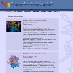 RNA Center : Ribosome Downloads