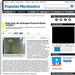 RoboJelly, the Hydrogen-Powered Robot Jellyfish