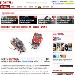 RoboRoach : un cyborg mi robot, mi… cafard en vente !