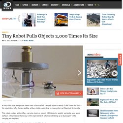 Tiny Robot Pulls Objects 2,000 Times Its Size