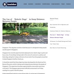 The Use of 'Robotic Dogs' to Keep Distance Between People