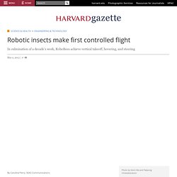 Robotic insects make first controlled flight
