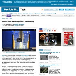 Robotic plant learns to grow like the real thing - tech - 09 August 2013