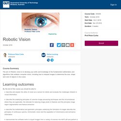 Robotic Vision