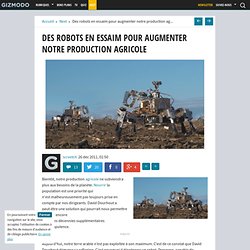 Des robots en essaim pour augmenter notre agriculture