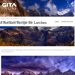 A Rockies Recipe for Larches