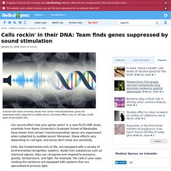 Cells rockin' in their DNA: Team finds genes suppressed by sound stimulation