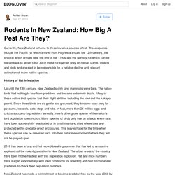 Rodents In New Zealand: How Big A Pest Are They?