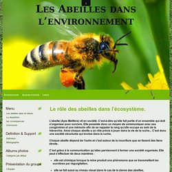Le rôle des abeilles dans l’écosystème. - Les Abeilles dans l’environnement
