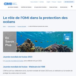 Le rôle de l'OMI dans la protection des océans