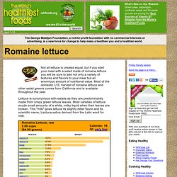 Romaine lettuce