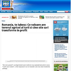 Romania, te iubesc: Ce valoare are terenul agricol al tarii si cine stie sa-l transforme in profit www.stirileprotv.ro